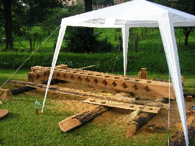 Sympozium Plesná 2005 - Větrný kříž, modřín, 590cm