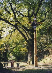 Cross, Vlkoš